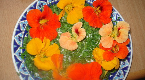 Закусочный торт Кабачки с сыром - потеха всему миру!