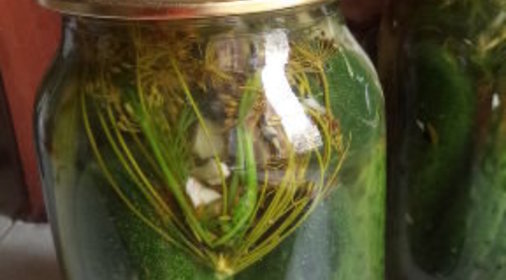 Торт «Наполеон»