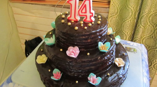 Торт Медовый