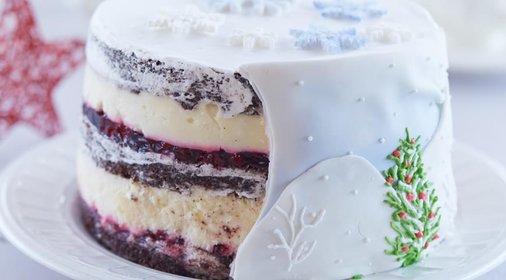 Шоколадный торт «Клюква в снегу»