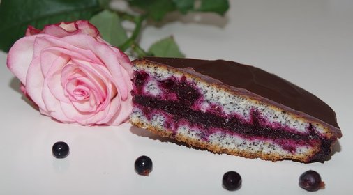Маковый торт с черносмородиновым желе в шоколадной глазури