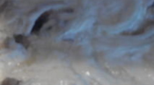 Торт «Роза»