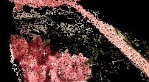 Пуншевый торт