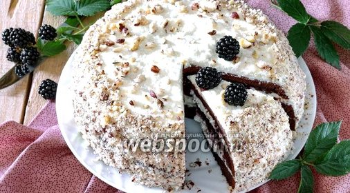 Шоколадный торт с творожно-пудинговой начинкой и ежевикой