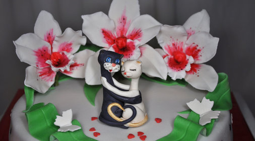 Торт Любимой кошечке + фото торта Лесовик