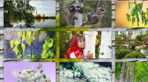 Торт из черного хлеба с сельдью и грибами